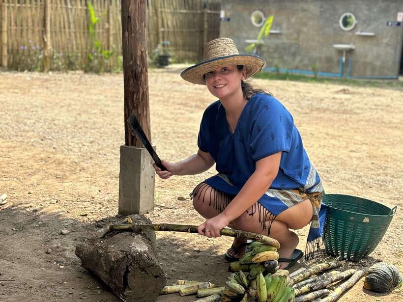 Chiang Mai: Elephant Sanctuary, Long Neck & Sticky Waterfall - Ethics and Expectations: Touching, Feeding, and What You Should Know Up Front