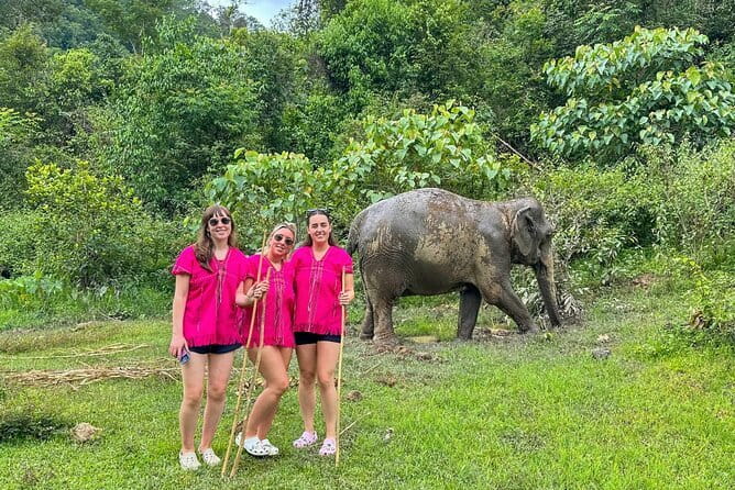 Chiang Mai Elephant Sanctuary Observation and Bamboo Rafting - Joy Elephant Sanctuary: what a respectful elephant day really looks like