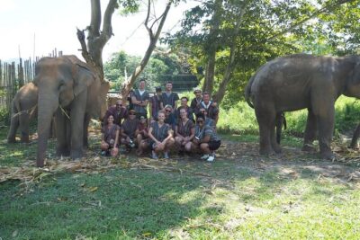 Chiang Mai Elephant Sanctuary Small Group Ethical Tour - Meet the guide and get the context, not just the spectacle