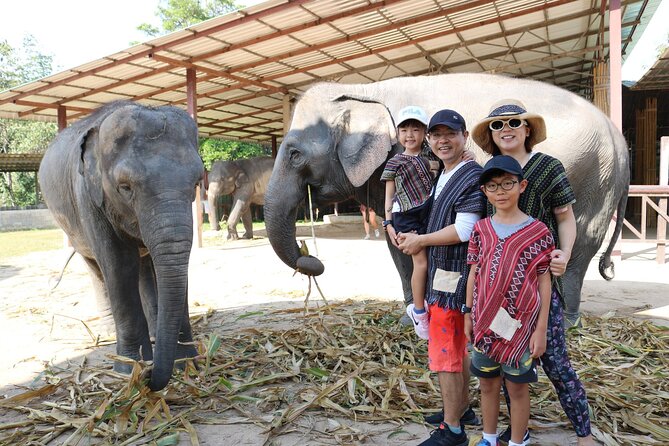 Chiang Mai Elephant Sanctuary Small Group Ethical Tour - Thai buffet lunch, fruits, and the comfort perks that make a difference