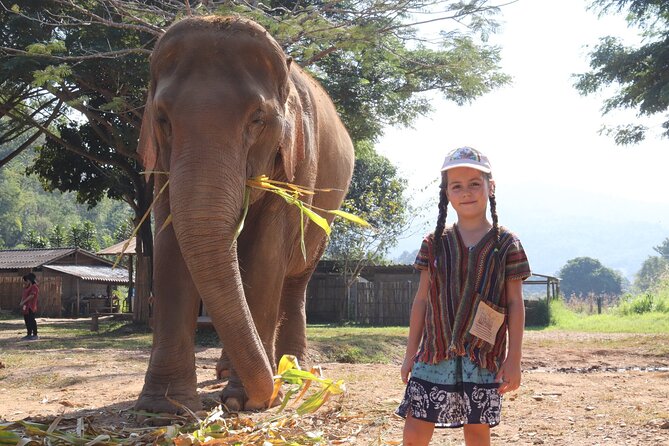 Chiang Mai Elephant Sanctuary Small Group Ethical Tour - What $90 covers (and why it feels fair)