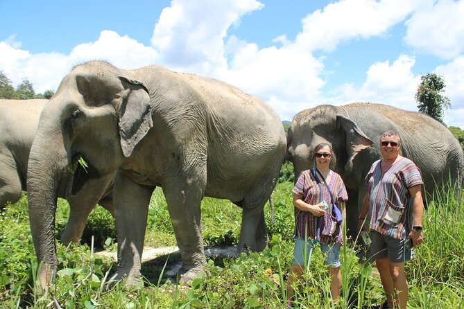 Chiang Mai Elephant Sanctuary Small Group Ethical Tour - Group size and pacing: how to get the most out of a max-20 day