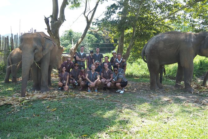 Chiang Mai Elephant Sanctuary Small Group Ethical Tour - Meet the guide and get the context, not just the spectacle