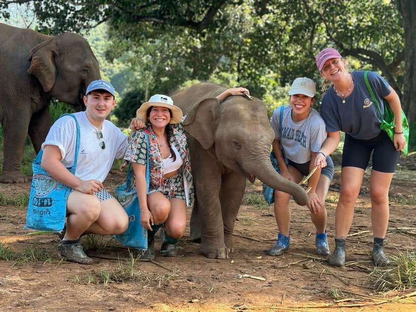 Chiang Mai: Elephant Sanctuary, Waterfall & Bamboo Rafting - Why the Pon Elephant day trip makes sense in 9 hours