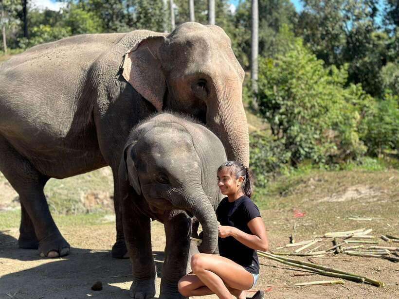 Chiang Mai: Elephant Sanctuary, Waterfall & Bamboo Rafting - Banana feeding, then bathing in the river near natural pools