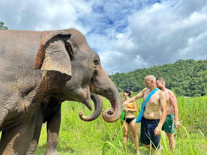 Chiang Mai: Elephant Sanctuary, Waterfall & Bamboo Rafting - What’s the real value of about $60?