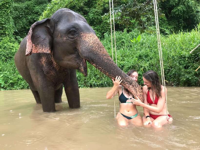 Chiang Mai: Elephant Sanctuary & Waterfall Group Tour - Key highlights worth planning for