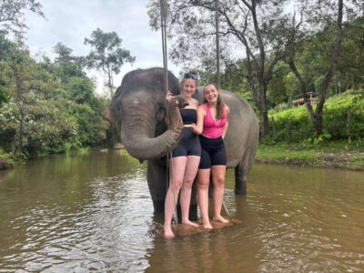 Chiang Mai: Elephant Sanctuary & Waterfall Group Tour - Pon Elephant Thailand: briefing, learning, and first contact