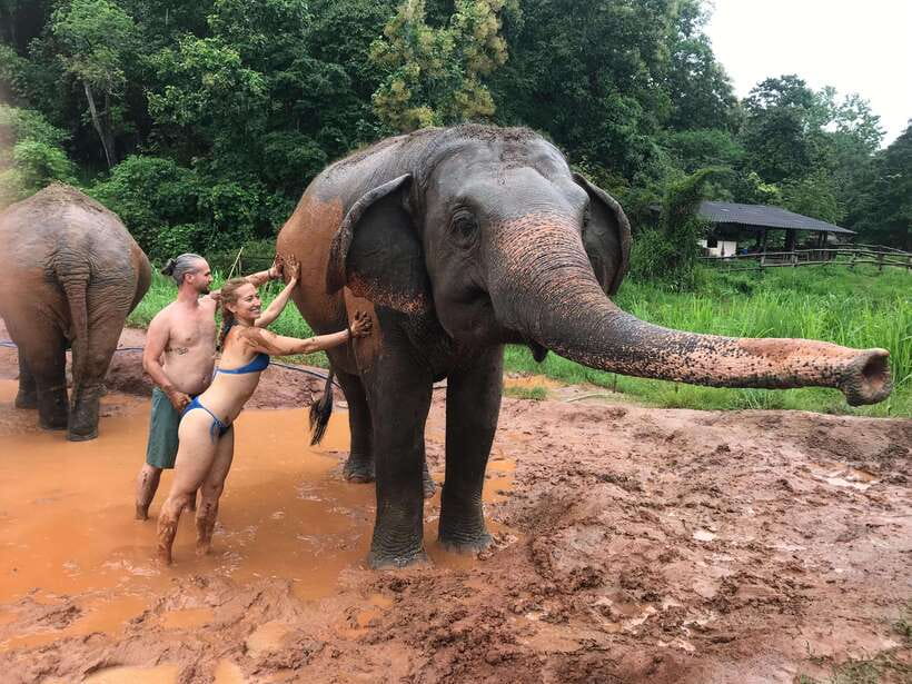 Chiang Mai: Elephant Sanctuary & Waterfall Group Tour - Lunch after elephant time: Thai comfort food breaks up the day