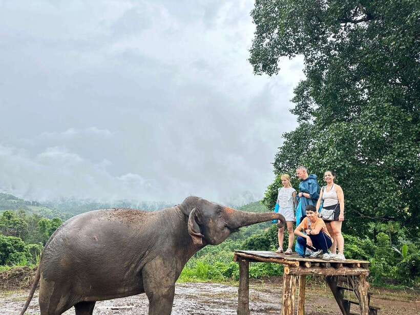 Chiang Mai: Elephant Sanctuary & Waterfall Group Tour - What to pack for a wet jungle day (seriously)
