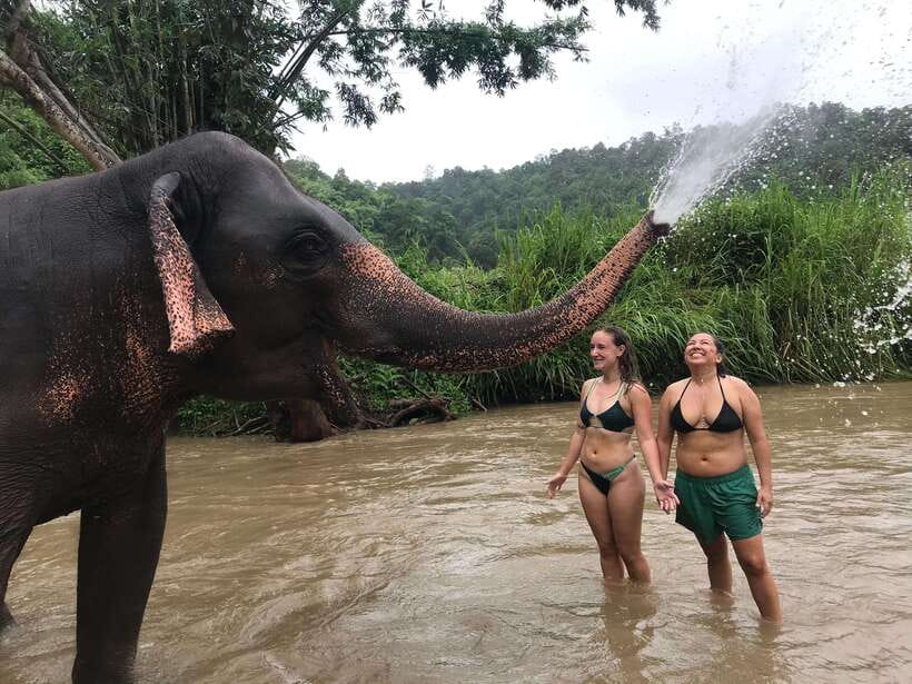 Chiang Mai: Elephant Sanctuary & Waterfall Group Tour - Price and value: how $50 can work