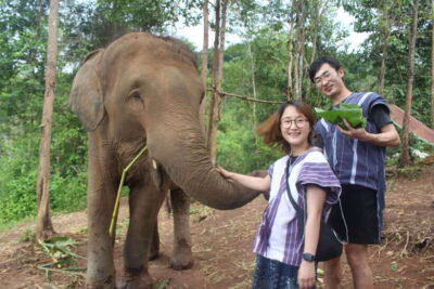 CHIANG MAI ELEPHANT VILLAGE SANCTUARY JUNGLE ADVENTURE - Getting Out of Chiang Mai: Markets, Coffee Stops, and Rice-Field Views