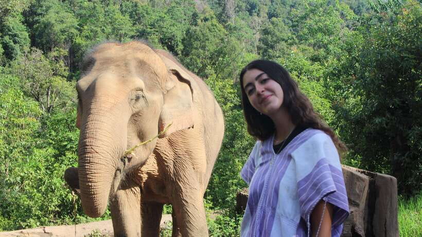 CHIANG MAI ELEPHANT VILLAGE SANCTUARY JUNGLE ADVENTURE - Waterfall Cooling Off and Elephant River Time