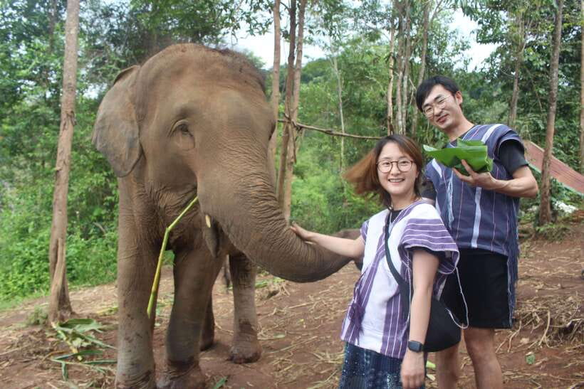 CHIANG MAI ELEPHANT VILLAGE SANCTUARY JUNGLE ADVENTURE - Getting Out of Chiang Mai: Markets, Coffee Stops, and Rice-Field Views