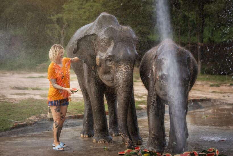 Chiang Mai: Ethical Elephant Feeding & Shower Program - Why the Feed and Shower idea works in Chiang Mai