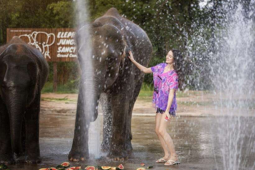 Chiang Mai: Ethical Elephant Feeding & Shower Program - Arriving at Elephant Jungle Sanctuary: the setup you’ll appreciate
