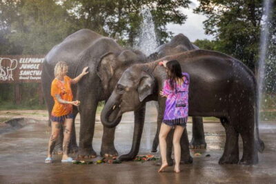 Chiang Mai: Ethical Elephant Feeding & Shower Program - Price and value: is $30 a fair deal?