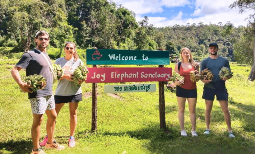Chiang Mai: Ethical Half Day Elephant Sanctuary & Waterfall - Joy Elephant Sanctuary: ethical elephant observation, not tourist tricks