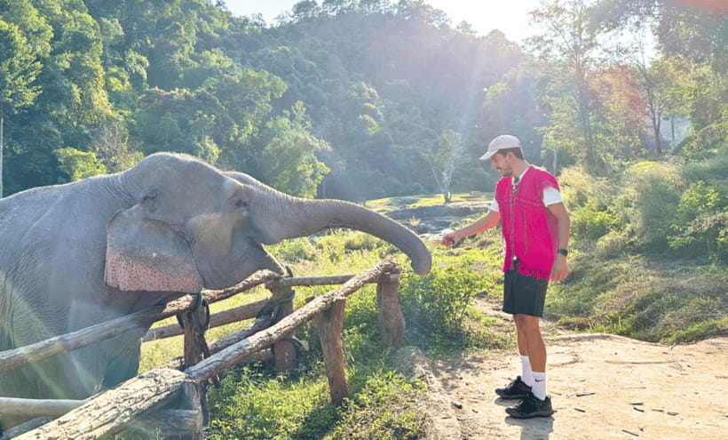 Chiang Mai: Ethical Half Day Elephant Sanctuary & Waterfall - Lunch in the mountains: refuel before waterfall time