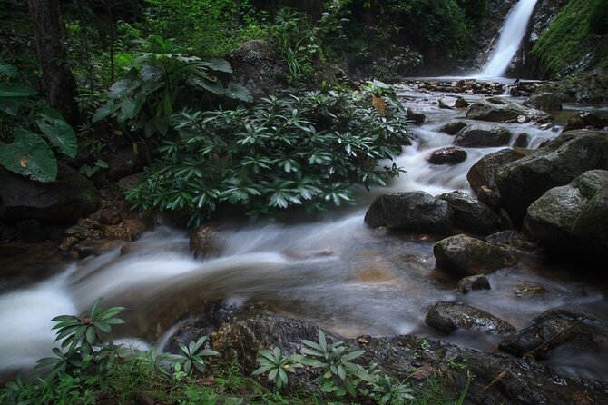 Chiang Mai Exotic Excursion Unseen Miracle of Faith To Pupadang Lampang Temple - Who should book this tour—and who should think twice