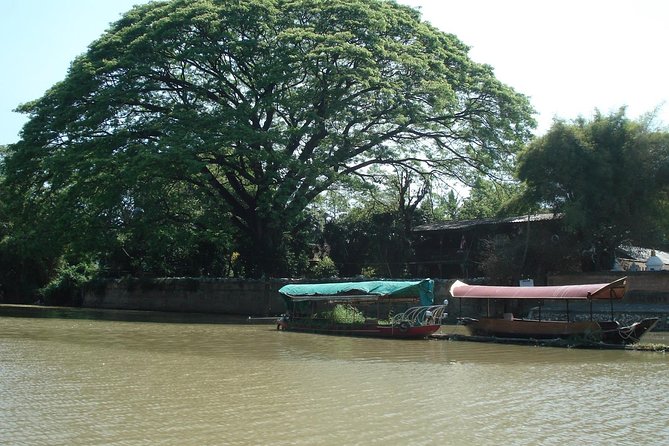 Chiang Mai Farm Life & Khao Soy Tasting on a Half-Day Boat Tour - The 45-Minute Cruise: What You’re Really Seeing