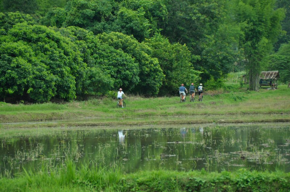 Chiang Mai Fields of Gold Cycling Tour - Quick hits before you pedal off