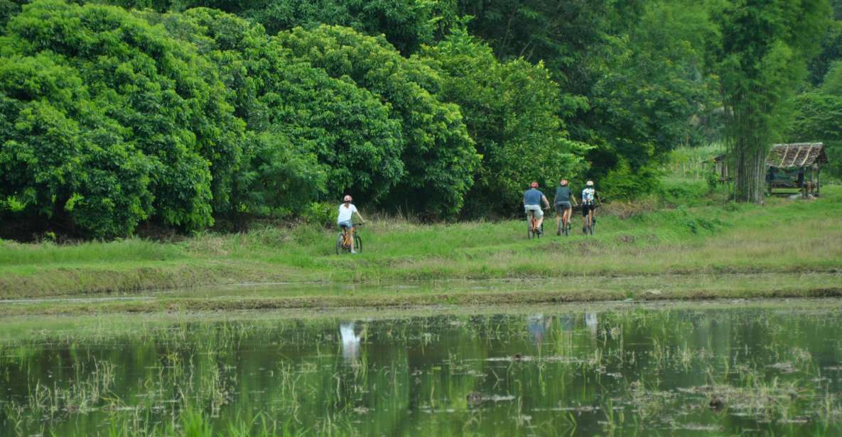 Chiang Mai Fields of Gold Cycling Tour - Bikes and safety gear that make the day feel controlled