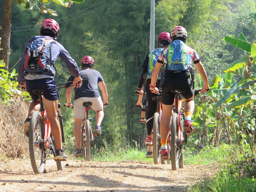 Chiang Mai Fields of Gold Cycling Tour - Pace and difficulty: beginner-friendly, with one caveat