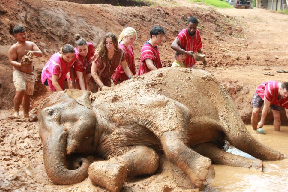 Chiang Mai: Full-Day Kerchor Elephant Eco Park Tour & Trek - Key Things I’d Book This For