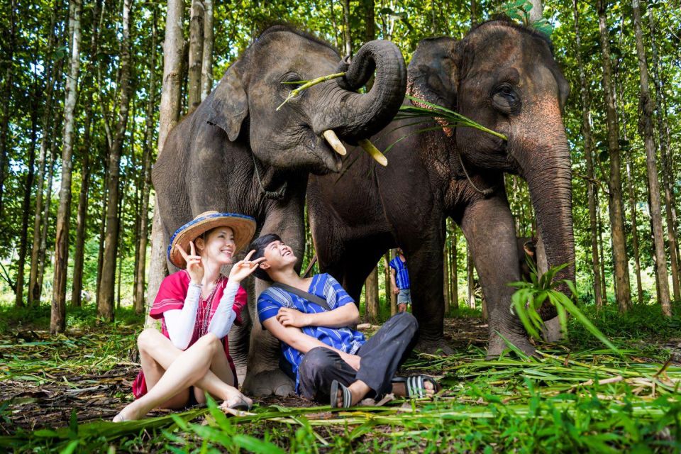 Chiang Mai: Full-Day Kerchor Elephant Eco Park Tour & Trek - Walking With Elephants and Watching Social Behavior