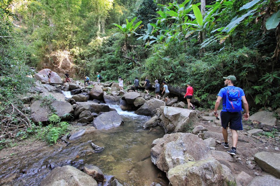 Chiang Mai: Guided Jungle and Waterfall Trek with Transfer - Getting the most from your guide: small questions that change the day