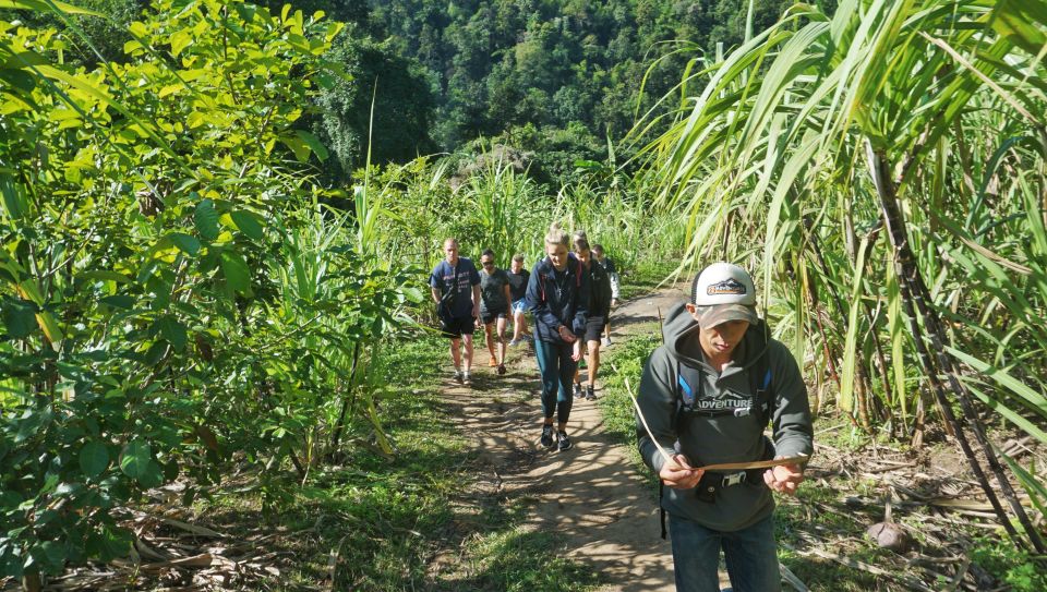 Chiang Mai: Guided Jungle and Waterfall Trek with Transfer - Should you book this Chiang Mai jungle waterfall trek?