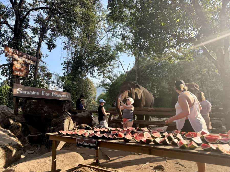 Chiang Mai Half-Day Adventure: River Tubing & Waterfall - Who this adventure fits best (and who should think twice)