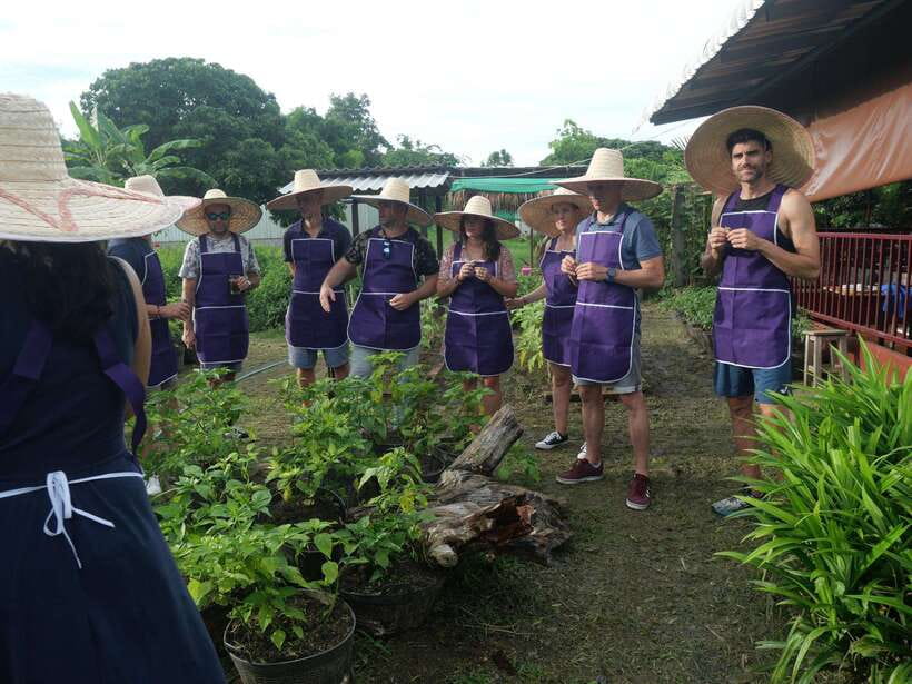 Chiang Mai: Half Day Cooking Class at Organic Farm - Key things worth knowing before you go