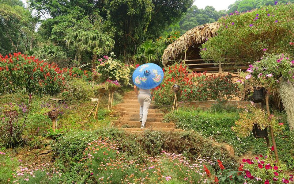 Chiang Mai: Half day Doi Suthep and Meo Village - Your 5-hour flow: what happens first, and why that order works