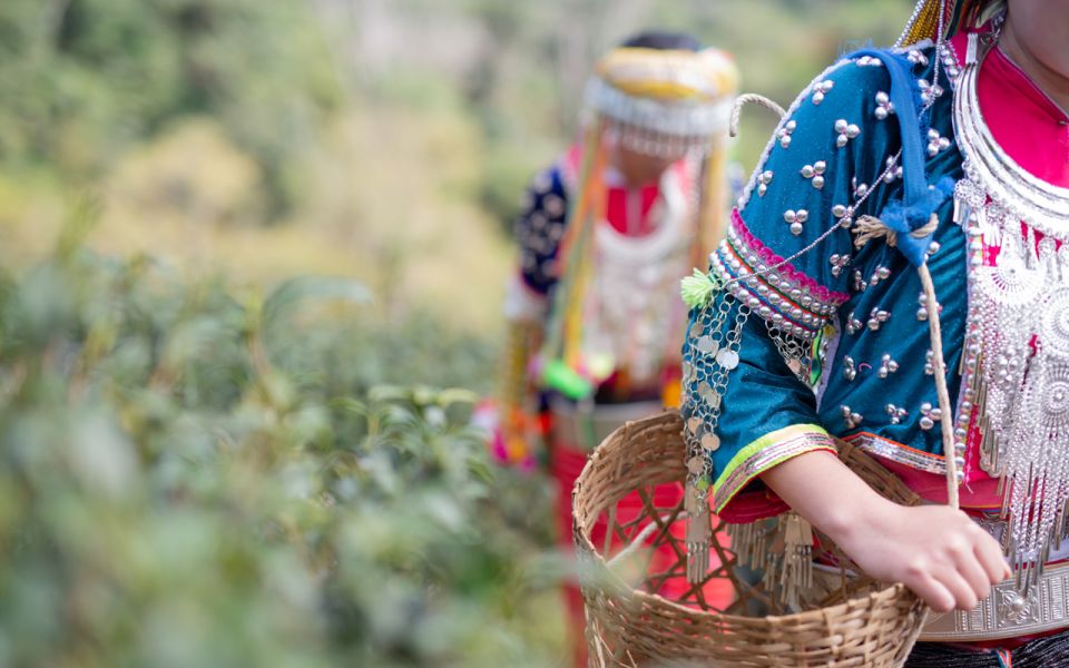 Chiang Mai: Half day Doi Suthep and Meo Village - Final call: should you book this half-day Doi Suthep and Meo Village tour?