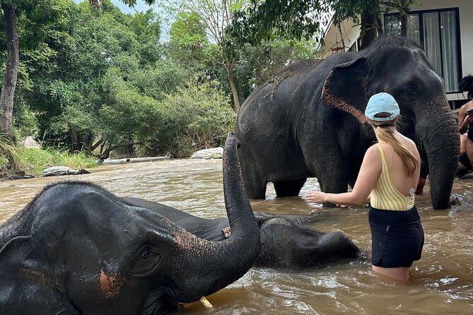 Chiang Mai Half Day Tour: Doi Inthanon Elephant Sanctuary - Key highlights at a glance