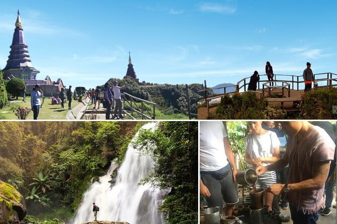 Chiang Mai Half Day Tour: Doi Inthanon Elephant Sanctuary - Feeding, petting, and the photo moments: what interaction really means here