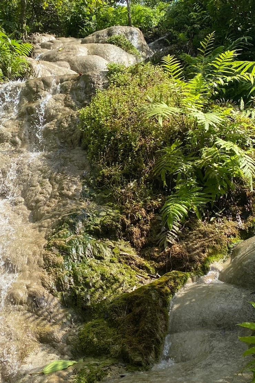 Chiang Mai Half Day Tour: Sticky Waterfall & Hotel Transfer - Who Should Book This Sticky Waterfalls Transfer (And Who Should Skip It)