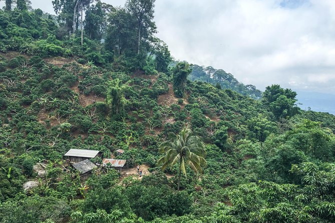 Chiang mai Hike & Downhill Bike Adventure –Suthep National Park - Stop 2: Khun Chang Khian village—rest, light lunch, and viewpoint time