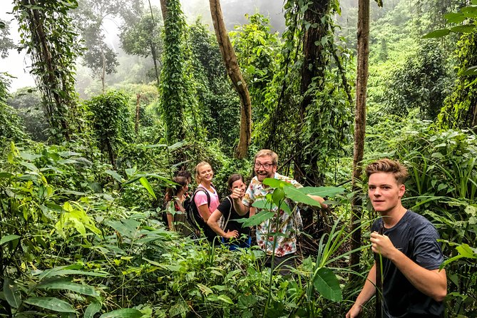 Chiang mai Hike & Downhill Bike Adventure –Suthep National Park - The small-group feel: 8 people means you get guidance, not crowd energy