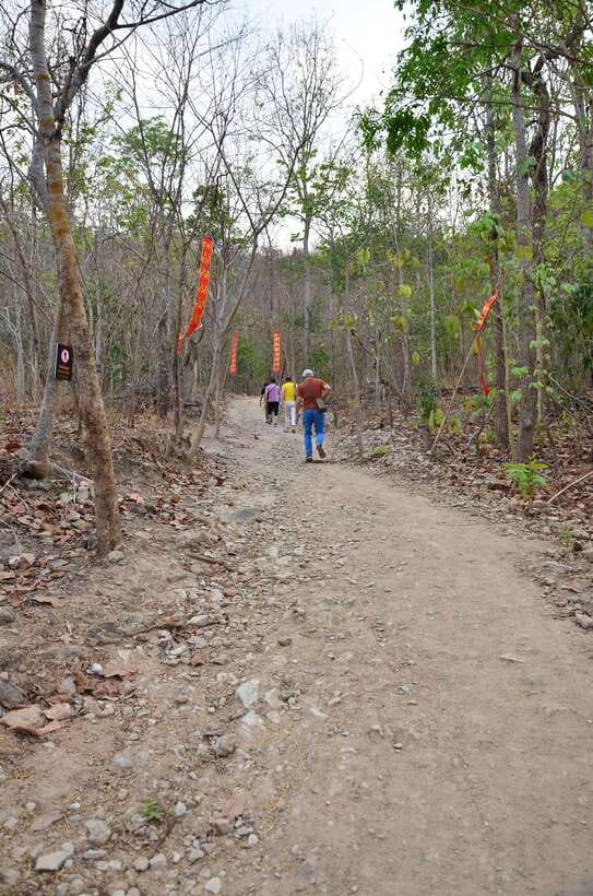 Chiang Mai: Hike on Monk’s Trail and Doi Suthep Private Tour - The flow of a private, guided day (and why it matters)