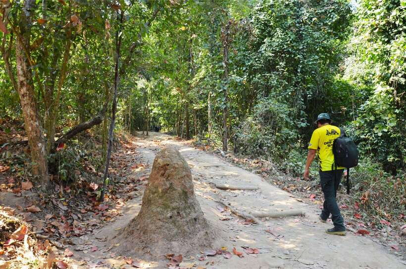 Chiang Mai: Hike on Monk’s Trail and Doi Suthep Private Tour - Who this tour suits best (and who should think twice)
