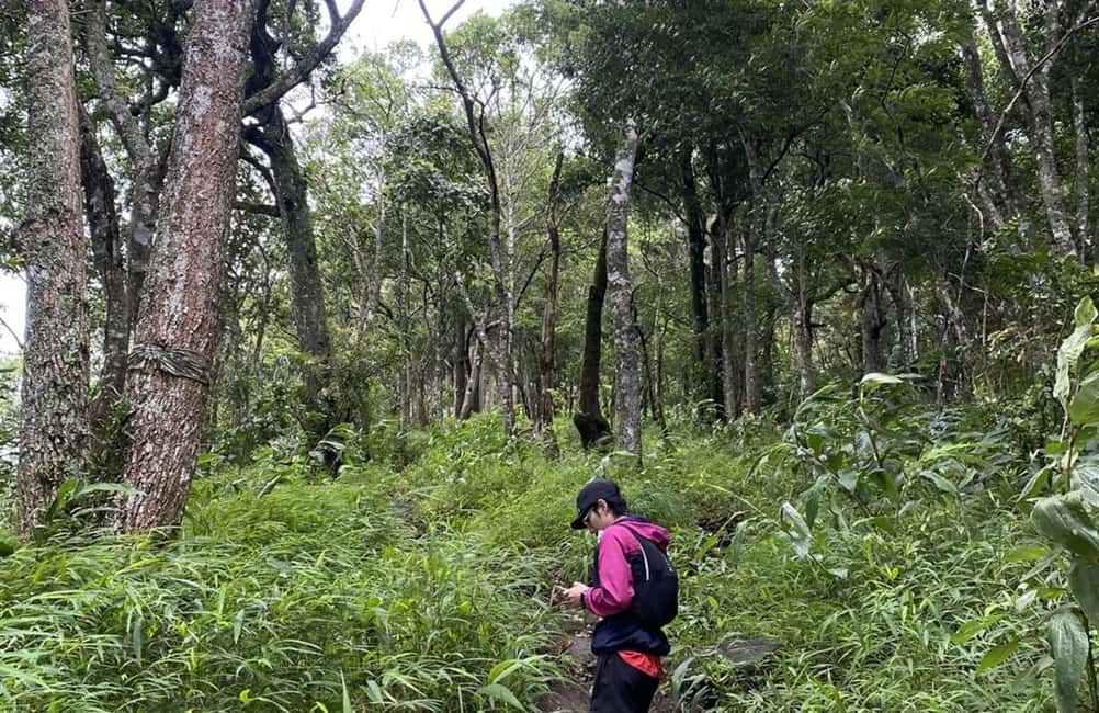 Chiang Mai: Hmong Village, Doi Suthep and Wat Pha Lat Trek - Hiking Monk’s Trail: the forest pilgrimage path