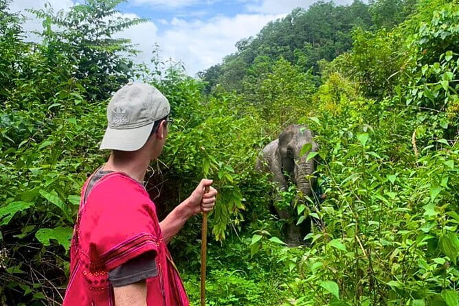 Chiang Mai: Inthanon, Elephant Sanctuary Observation & Waterfall - The long van ride: why the early start is worth planning for