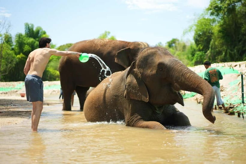 Chiang Mai: Jungle Jumbo Elephant Sanctuary with Waterfall - Why this 6-hour Chiang Mai mix works: elephants plus real nature