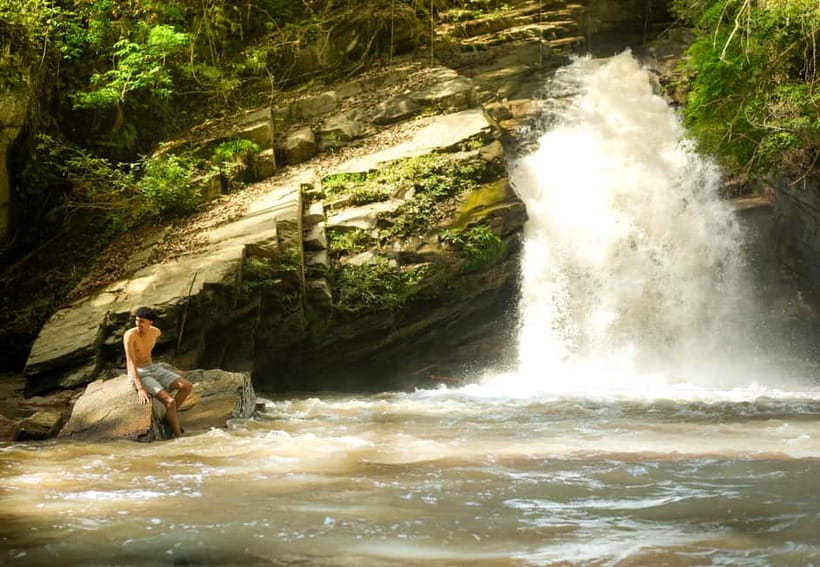 Chiang Mai: Jungle Jumbo Elephant Sanctuary with Waterfall - Jungle walk to the secret waterfall: bring repellent and expect humidity