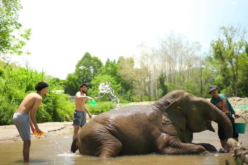 Chiang Mai: Jungle Jumbo Elephant Sanctuary with Waterfall - Jungle Jumbo Elephant Sanctuary: what ethical elephant time looks like here