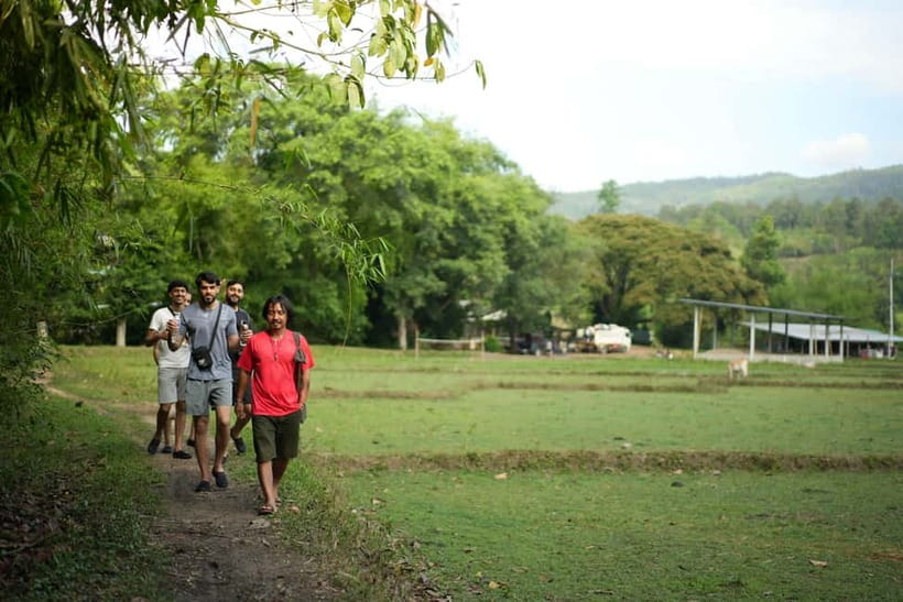 Chiang Mai: Jungle Jumbo Elephant Sanctuary with Waterfall - Who should book this tour, and who should skip it