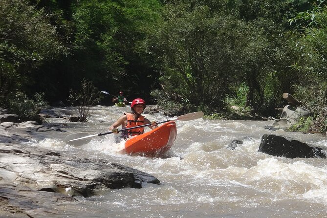 Chiang Mai: Jungle Kayak Adventure with Rapids & Elephants - Upper Mae Wang River: Class I and II rapids plus elephant chances